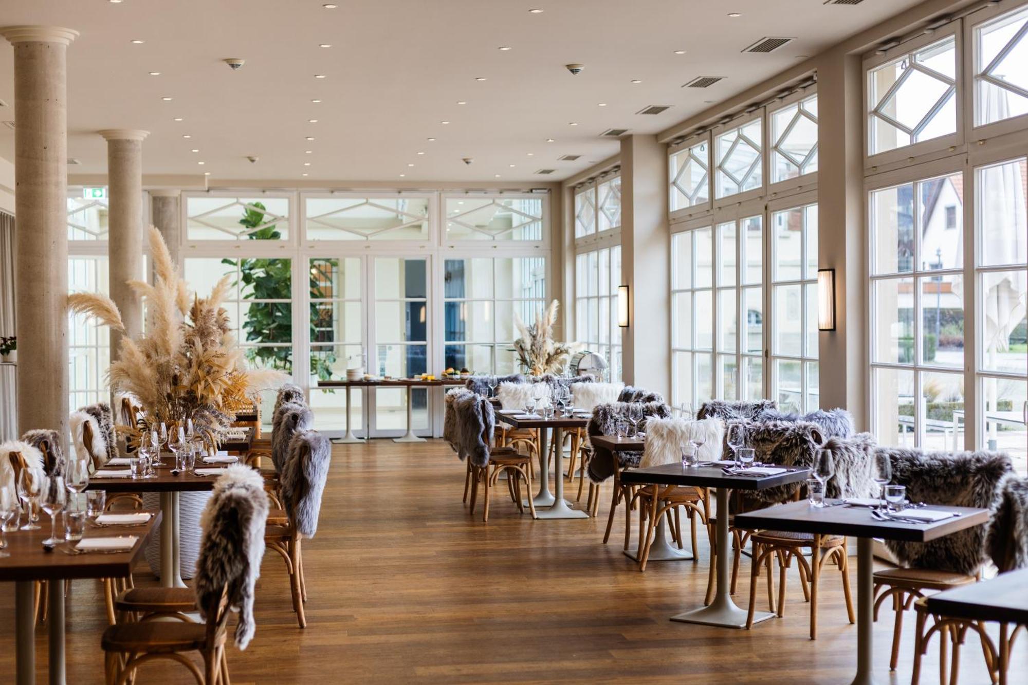 Schloss Neckarbischofsheim Εξωτερικό φωτογραφία